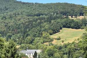 Zeitlose Eleganz in begehrter Villenlage Heidelberg-Schlierbach – Die vollständige Adresse der Immobilie erhältst du vom Anbieter., 69118 Schlierbach, Heidelberg – Vorschaubild 18