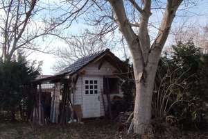 Freistehendes Einfamilienhaus mit unverbauten Weitblick in die Natur – Langestraße 24, 99610 Wundersleben – Vorschaubild 19
