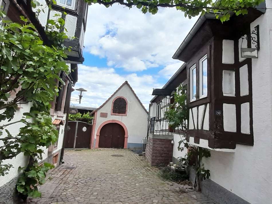 Blick zum Anwesen 