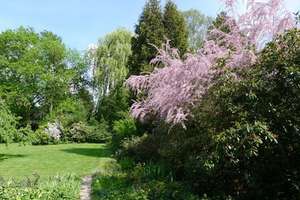 4 Zimmerwohnung mit Garten in Bonn Lengsdorf  – Die vollständige Adresse der Immobilie erhältst du vom Anbieter., 53127 Lengsdorf, Bonn – Vorschaubild 12
