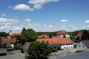 Herrlicher Blick über die Baumwipfel – Zur Allacher Mühle 18, 80999 Allach, München – Vorschaubild 2