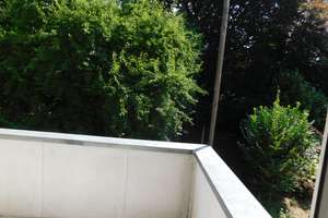 Frisch renoviert! Klasse 3-Zimmer-Wohnung mit Balkon! – Frintroper Str. 19, 45355 Schönebeck, Essen – Vorschaubild 2