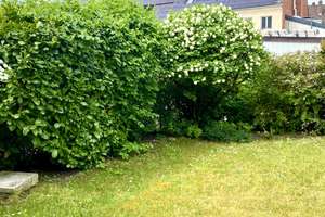 Erdgeschoss mit Garten und TG-Stellplatz in ruhiger Lage – Die vollständige Adresse der Immobilie erhältst du vom Anbieter., 90449 Röthenbach Ost, Nürnberg – Vorschaubild 3