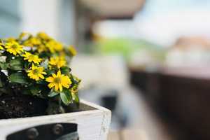 Property thumbnail 25