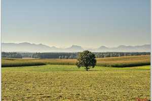 Kaufen - Einziehen - Wohlfühlen ++Decker Immobilien++ – Rosenheim (Kreis) – Vorschaubild 9