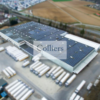 Im Alleinauftrag: Logistikhalle