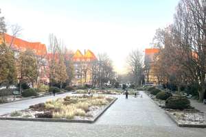 BAUDENKMAL nahe  Rüdesheimer Platz – Die vollständige Adresse der Immobilie erhältst du vom Anbieter., 14197 Wilmersdorf, Berlin – Vorschaubild 26