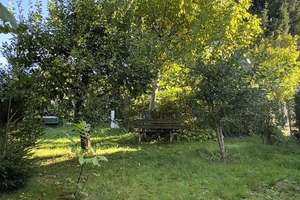 Eigenheim am SW-Stadtrand mit schönem Garten – Die vollständige Adresse der Immobilie erhältst du vom Anbieter., 9116 Schönau, Chemnitz – Vorschaubild 44