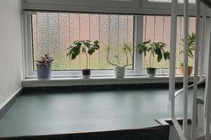 gepflegte Wohnung in ruhiger Wohnanlage auf Eigenland – Reußkamp 15b, 23560 Moisling, Lübeck – Vorschaubild 2