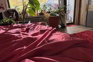 Charmantes Einfamilienhaus mit Garage und Terrasse – Ihr neues Zuhause in ruhiger Lage – Die vollständige Adresse der Immobilie erhältst du vom Anbieter., 42651 Solingen-Mitte, Solingen – Vorschaubild 30