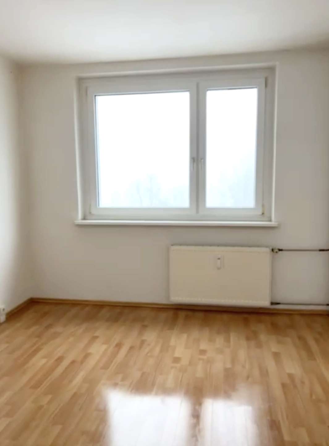 Renovierungsbedürftige 2-Zimmerwohnung in gepflegtem Wohnensemble, Berlin – Bild 4