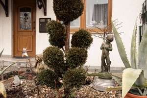 FAMILIÄRES WOHNEN AM ORTSRAND | SECKENHEIM – Die vollständige Adresse der Immobilie erhältst du vom Anbieter., 68239 Seckenheim, Mannheim – Vorschaubild 2