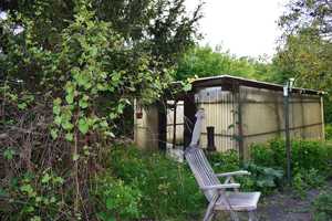 Gartenliebhaber? Kreative?
Freiraum gesucht? DHH mit gr. Garten - viele Nebenflächen – Berlin – Vorschaubild 5