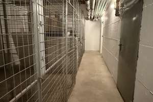 Kernsanierter 2-Zimmer-Traum in Köln Altstadt-Süd -nur  100m vom Rhein! – Die vollständige Adresse der Immobilie erhältst du vom Anbieter., 50676 Altstadt/Süd, Köln – Vorschaubild 8