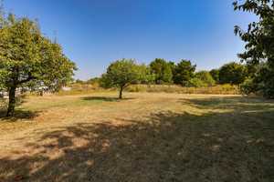 Charmantes Einfamilienhaus in ruhiger Lage |
1.480 qm Grundstück | großer Garten | Ausbaureserve – Teltow-Fläming (Kreis) – Vorschaubild 27