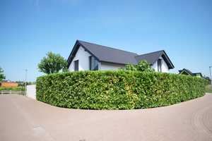 Stilvolle Luxus-Villa mit moderner Ausstattung und hoher Energieeffizienz! – Mainz-Bingen (Kreis) – Vorschaubild 20