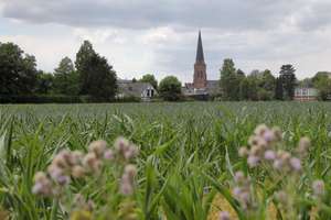 Property thumbnail 9