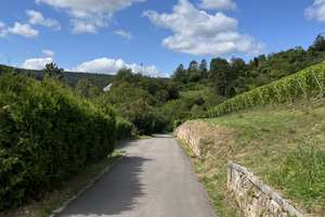 GROSSZÜGIGES UND FAMILIENGERECHTES WOHNEN MIT GARTENANLAGE UND SONNENTERRASSEN