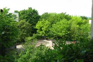 Top-Angebot in Bonn! – Bonn – Vorschaubild 4