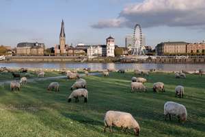 Property thumbnail 31