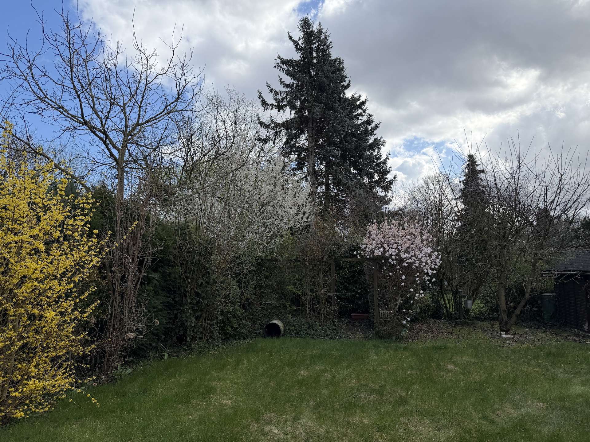 Charmante DG-Wohnung mit Ausbaupotenzial in historischem Haus – Ideal für Handwerker & Visionäre, Bottrop – Bild 3