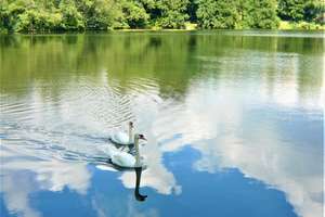 Property thumbnail 17