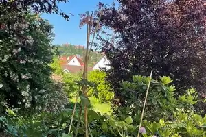 Wohnhaus mit schönem Garten in Kulmbach Siedlung zu verkaufen – Kulmbach (Kreis) – Vorschaubild 11