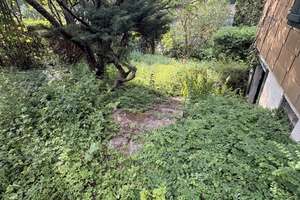 Idyllisch! Renoviertes 3 Parteienhaus mit schönem Garten und Doppelgarage in toller Aussichtslage – Die vollständige Adresse der Immobilie erhältst du vom Anbieter., 70195 Botnang-West, Stuttgart – Vorschaubild 9