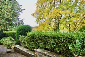 Furnished Apartment in Prime Location at Wiesbaden’s Neroberg – Die vollständige Adresse der Immobilie erhältst du vom Anbieter., 65193 Nordost, Wiesbaden – Vorschaubild 5