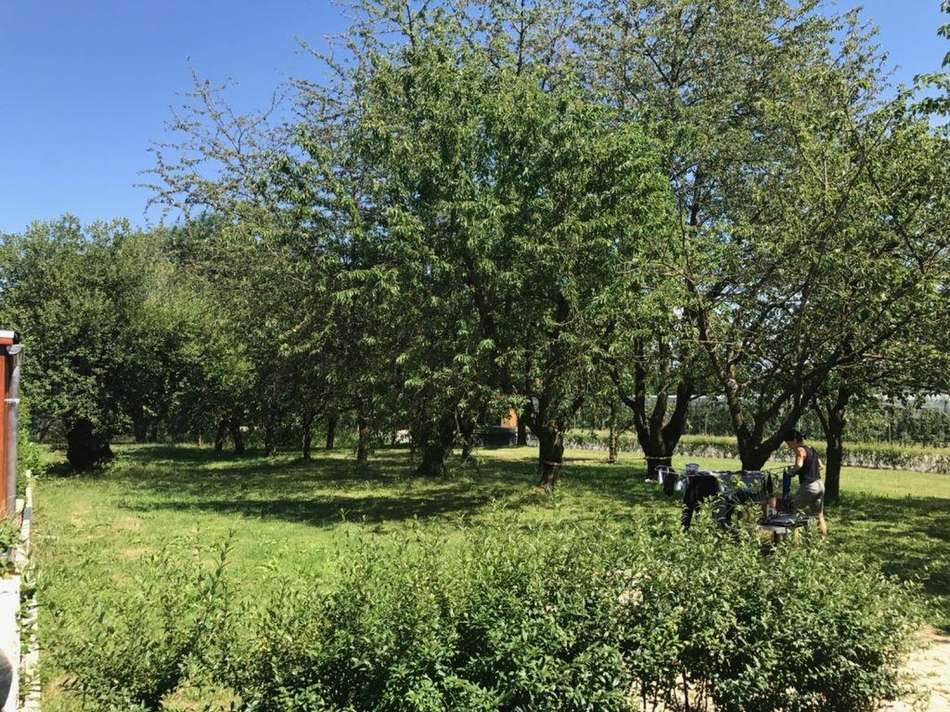 Kirschbaumgarten 
