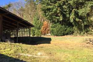 Freistehendes EFH mit Garten – Bad Dürkheim (Kreis) – Vorschaubild 13