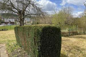 Großzügig und durchdacht – Die vollständige Adresse der Immobilie erhältst du vom Anbieter., 31061 Alfeld (Leine) – Vorschaubild 4