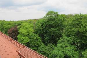 Property thumbnail 16