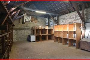 Wohn-und Geschäftshaus mit 430 m² Nutz-/Gewerbefläche – Die vollständige Adresse der Immobilie erhältst du vom Anbieter., 67227 Flomersheim, Frankenthal (Pfalz) – Vorschaubild 15