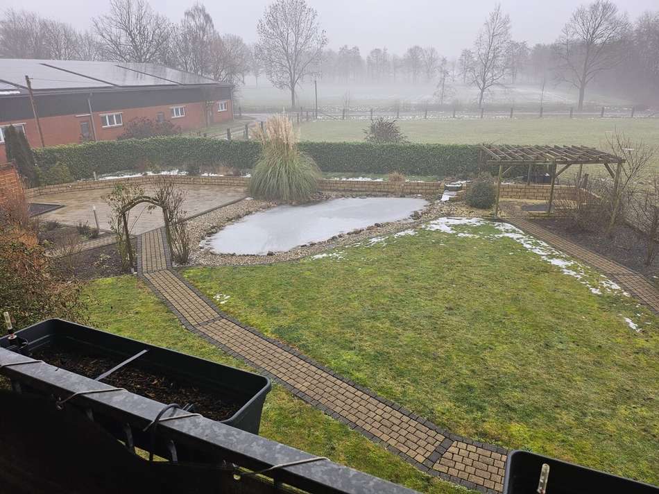 Blick OG  Garten