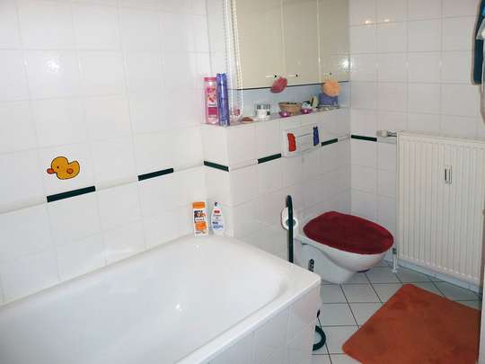 Moderne 3-Zim.-Wohnung mit PKW-Stellplatz und Garten - Bild 9