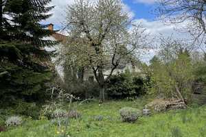 Traumhaftes Mehrgenerationenhaus oder kombiniertes Wohnen/Arbeiten/Vermieten – Rhein-Neckar-Kreis – Vorschaubild 20