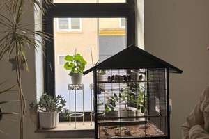 Charmante Altbauwohnung mit viel potential in Kreuzviertel – Die vollständige Adresse der Immobilie erhältst du vom Anbieter., 44143 Westfalenhalle, Dortmund – Vorschaubild 2