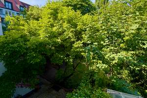 Schnell zur Alster, nah an der Stadt. 2-3 Zimmer, Balkon vor zwei Zimmern, toller Blick ins Grüne, – Richardstraße 88, 22089 Eilbek, Hamburg – Vorschaubild 8
