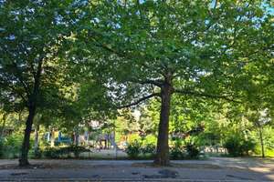 SONNENBALKON*Gropius-Bau*Mitten im Tiergarten*Top-Zustand*4 Zimmer im 4. OG*LIFT**Einbauküche – Die vollständige Adresse der Immobilie erhältst du vom Anbieter., 10557 Hansaviertel, Berlin – Vorschaubild 16
