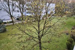 Property thumbnail 37