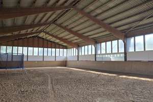 Exklusives Reitanwesen mit ca. 400 m² Wohnfläche, Reithalle &17000 m2 langfistig gesicherter Fläche  – Auf der Insel 6, 37632 Eschershausen – Vorschaubild 4