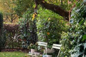 Gartenwohnung in Hamburg-Ottensen zwischen Zeisehallen und Elbufer