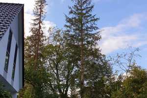  Großzügige Doppelhaushälfte mit Charme in naturnaher Lage von Bremen-Alt Borgfeld – Bremen – Vorschaubild 12