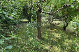 VERMIETET: 2-Zimmerwohnung mit Terrasse und eigenem Garten – Bertolt-Brecht-Weg 1, 93051 Kumpfmühl-Ziegetsdorf-Neuprüll, Regensburg – Vorschaubild 13