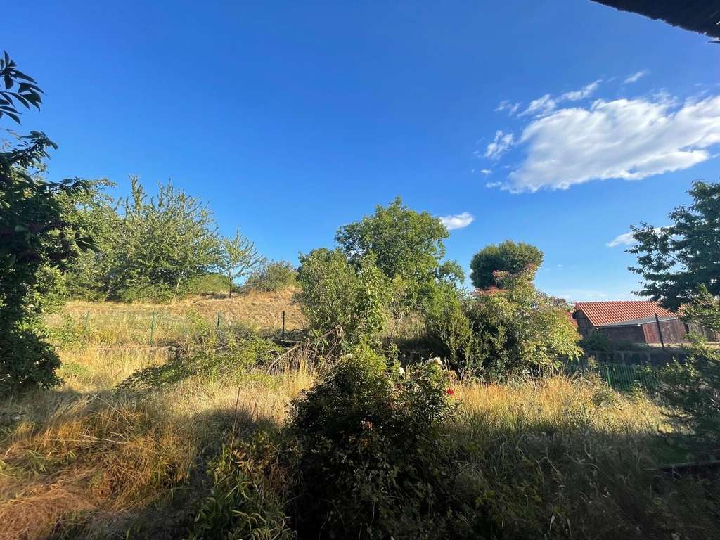 Immobilie in Mansfeld - Mansfeld, EFH + Scheune - Bild 4