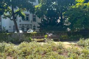 STILALTBAU I 10 PARTEIEN I 2 GARAGEN I DIREKT AM BRENTANOPARK I – 60489 Rödelheim, Frankfurt am Main – Vorschaubild 14