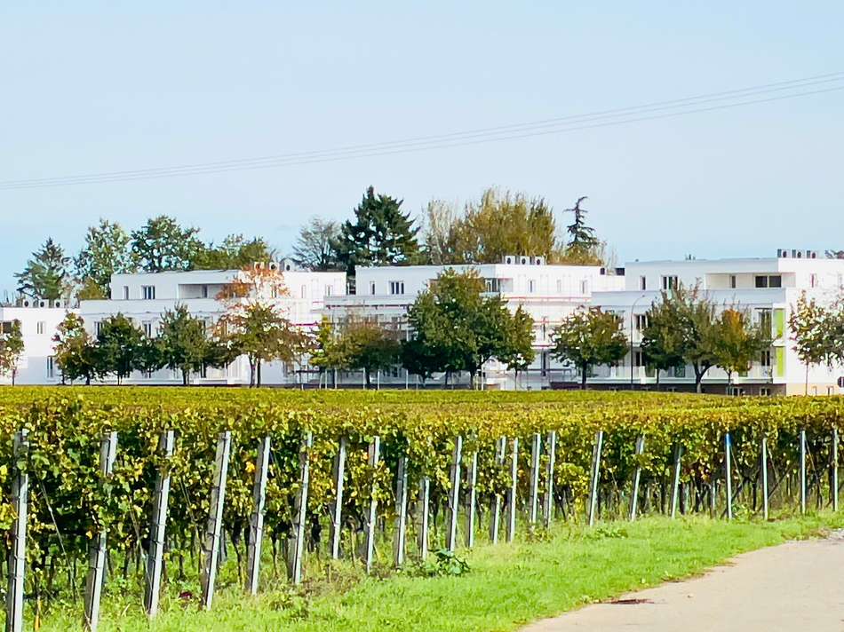 Wasgau Quartier Hausansichten 