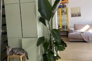 Traumwohnung  im Rathenau-Viertel – Die vollständige Adresse der Immobilie erhältst du vom Anbieter., 50674 Neustadt/Süd, Köln – Vorschaubild 1