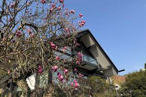 EXKLUSIVES EINFAMILIENHAUS IN FR-GÜNTERSTAL – Die vollständige Adresse der Immobilie erhältst du vom Anbieter., 79100 Günterstal, Freiburg im Breisgau – Vorschaubild 8